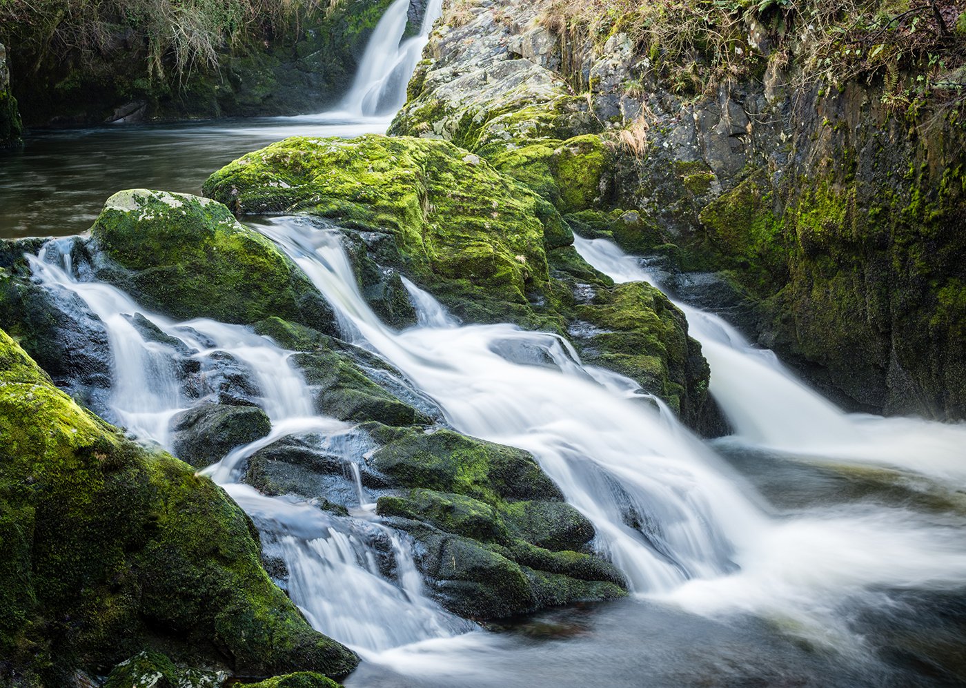 Why do we need to drink water?